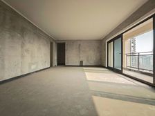 金科品质大平层,朝南,看公园,视野开阔