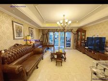 急售 阿尔法稀缺大户型洋房全屋恒温 精装修 看摩天轮 莱电