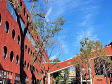 环境嘎嘎好,文化园区内(稀有多套200至1000平面积)