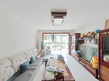 三林·金谊河畔·全新三房 王炸户型 小区c位,扛把子