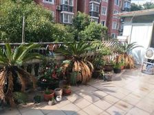 房东国外委托,三房两卫,带露台,有兴趣打我电话了解详情,感谢