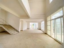 三正半山438平临湖大独栋 4层带电梯 位置安静带游艇码头