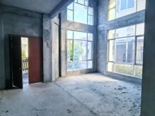 依山傍水 三正半山豪苑(独栋别墅) 垂钓前停三部车