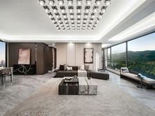 精装真洋房 一楼带院儿 顶楼带露台 叠拼联排应有尽有高端品质