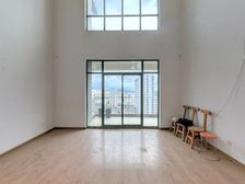 雨花毓秀 7室2厅 251平带25平露台