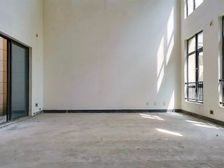 南岸 复地山与城 别墅 小区好.