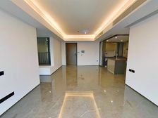 顺德华侨城旁 全新收楼标准 山姆超市3号线地铁家门口 天鹅堡