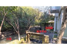 手慢无!近景西路站362平临水精装独栋使用面积近5百平挑空厅