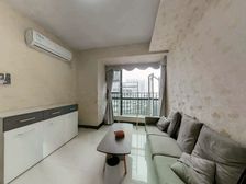 龙园8号 1室1厅 36.74平