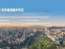 深圳核心地段华侨城片区顶楼复式,大气中空客厅,稀缺户型