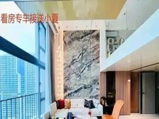 外省可买,可租4000,来的送全屋家私,精装现房,拎包入住