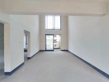 洋房顶跃 带露台 轻轨15号线西