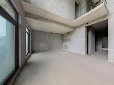 璧山新区府旁边 古道湾公园 一线望湖大双拼 双层地下室全采光