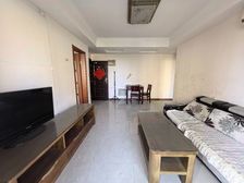 浦江 中间楼层 电梯房 楼龄新 出行方便 满五 近地铁