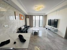 电梯顶楼复式 全新装修 送大露台 带车位 使用面积超200平