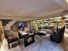 地铁4站金桥 10站陆家嘴低密度联排别墅