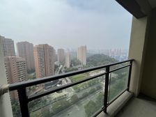 这房子搞得 中南路商圈 边户3房 通透3面采光