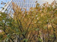 雨花软件谷核心!楚翘城 精装带家具 多面积可选 拎包办公实拍