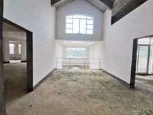 三正半山豪苑 临湖独栋别墅 带泳池 私家车 双龙抱珠经典户型