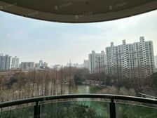 看天山公园!!!三开间朝南!板式南北通!全屋采光无遮挡