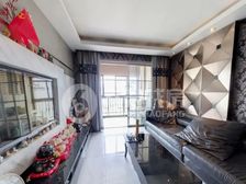 笋!砸盘了!业主回笼资金!急抛变现!2010年人车分流小区!