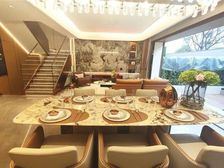 (新房免佣+渎莎小+降50万)科学城下叠带花园地下室290万