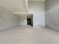 璧山高新区 湖景双拼别墅 花园200平 视野开阔 居中庭