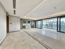 光环 香港置地 大面积 横厅 257平 看湖景