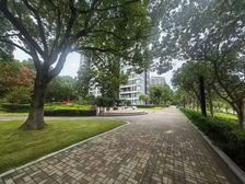 稀有电梯洋房 送双阳台可改两卫,业主诚卖,看房方便,价格可谈