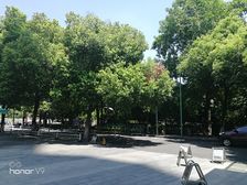 上城南星桥地铁口连锁酒店一楼沿街300方招美容餐饮中医口腔等