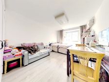 闻喜路251弄有电梯正卧室朝南带阳台户型通透客厅宽敞