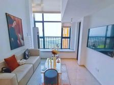 SOLO禺意湾8号 45平3居 南北向 来电享9折 送家私家