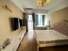 美泉1612 1室1厅 精装修