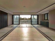 嘉御庭(二三期) 徐汇顶豪 次新房 双一梯向阳 豪华装修 开