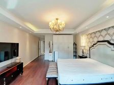 观望一次涨一次,朋友,是不是还要重复昨天的故事?