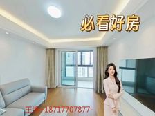 徐汇2014年次新房,楼下地铁,网红小区,高区视野三房