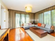 中海紫御豪庭别墅 客厅挑高 开间大 采光好 院子大 诚意出售