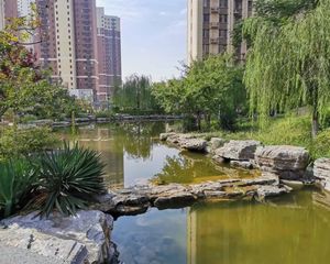 丽景蓝湾C区南向两居 8514元/平 好楼层