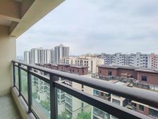 板式花园洋房 视野无遮挡 带车位 送7 家具家电 大实得