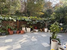 金色家园 五开间朝南送花园+露台 采光无遮挡 园林小区