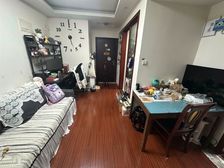 奉城 精装修 商品住宅 高楼层视野好 次新房 南北通透