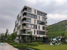 商墅日租金1元,城投绿城深蓝时光300平500平1100平