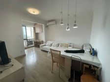 新上世博家园560弄高区1房,中心景观位置,南面无遮挡,有钥