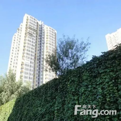  ���⡤��ҩ�ӱ��� 3��1�� �� 