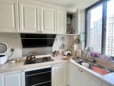 金辉天鹅湾电梯中高层开发商精装奉教苑 汇贤中学