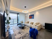 圣诞节 房中央公园楼下轻轨龙湖天带 精装带产权车位