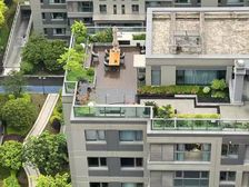 超大露台 次新小区 顶复大平层 洋房视线开阔 龙湖天街旁