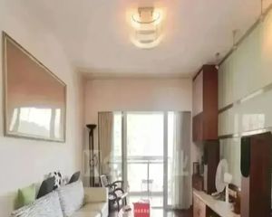 华景新城 价格可谈 诚心出售 送家私家电 送车位 中高层包税