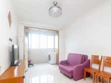 明珠A《开发浦东》内环内电梯两房 双南朝向 采光视野阳光好