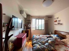 浦江 精装可拎包入住 房龄新 产权清晰 南北通透